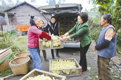 农村绝对贫困人口_让每个贫困村成为新农村典范(2)