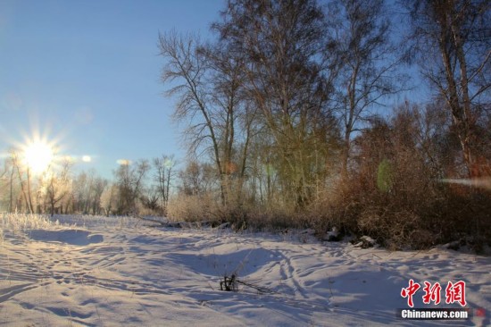 新疆阿勒泰雪景展示