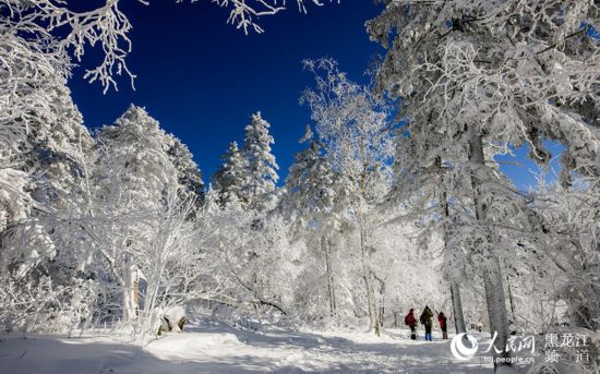 图说龙江:哈尔滨凤凰山的冰雪圣境(高清组图)