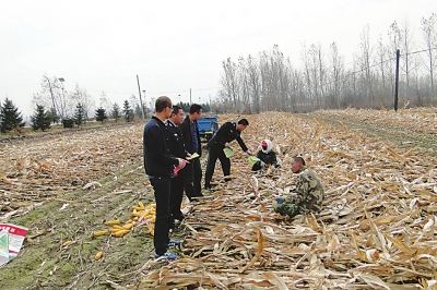 梅河口人口_梅河口人口民族(2)