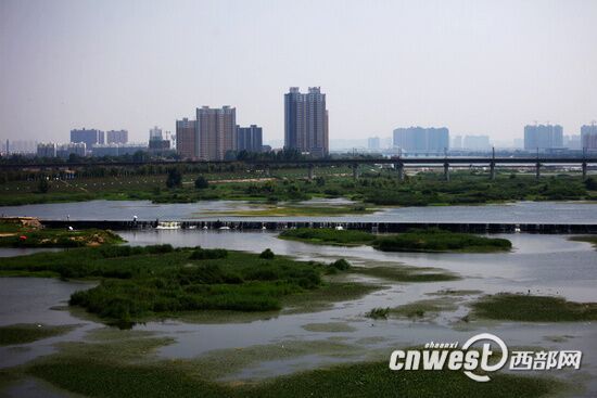 陕西渭河综合整治成效显著 打造景观河与致富河