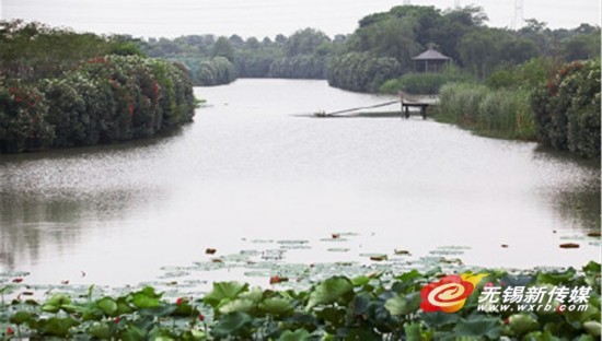 江都渌洋湖湿地公园_公园 湿地-华阳湖湿地公园图片