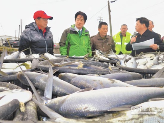 寒流侵袭 台湾1350万尾虱目鱼惨遭冻死(图)