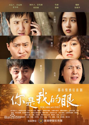 沈腾贾玲《你是我的眼》12,13集 电视剧全集1-37集剧情大结局演员表