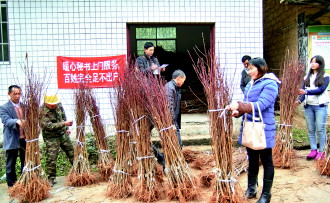 桐林镇人口_贵州三穗县桐林镇全景(2)