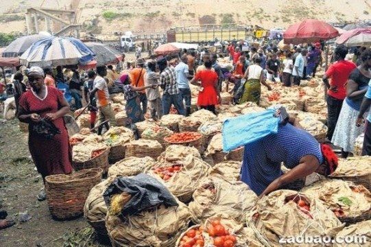 非洲第二大番茄产地年产150万吨近半腐烂浪费