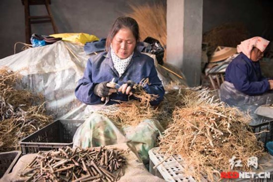 精准扶贫:十八洞村与菖蒲塘村的答卷