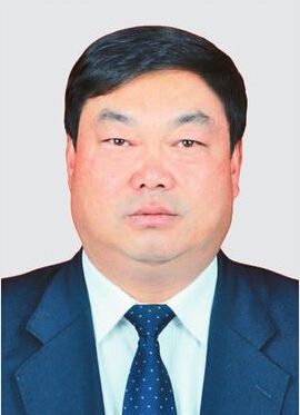 历任共青团大理州委副书记,共青团中央统战部港澳台工作处副处长