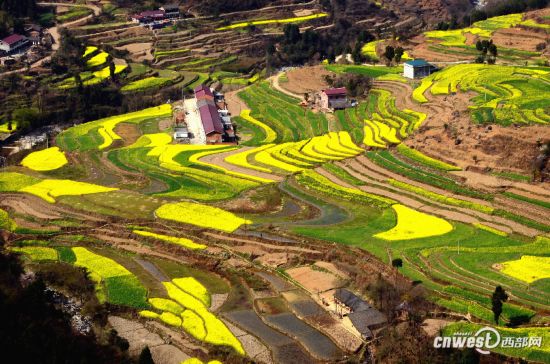 巴藏镇后背山村多少人口_贵州巴平村山村图片