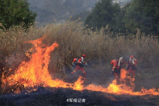 云南玉溪森林火灾烧到昆明境内 部队官兵出动