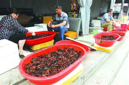 首个小龙虾温室养殖场在沪诞生 上海市民全年