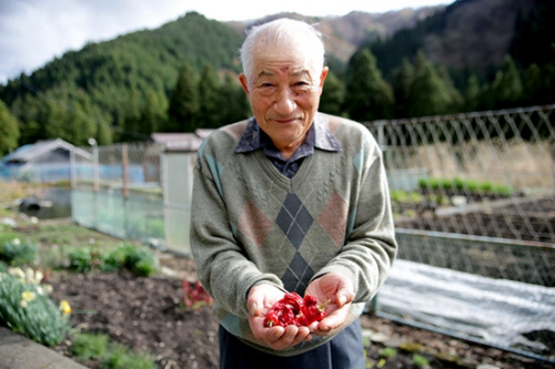 沉入湖底的日本梦幻辣椒:震撼辣感重现世间(图