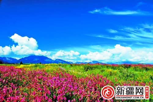 乌鲁木齐别样徒步道串起一路美景