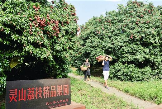 色大高清区