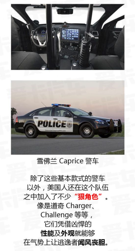 别光知道大片里的飞车 聊美国警车文化