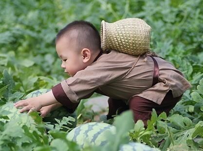 萌娃吆喝卖西瓜:这个瓜娃子要火!2岁萌娃吆喝