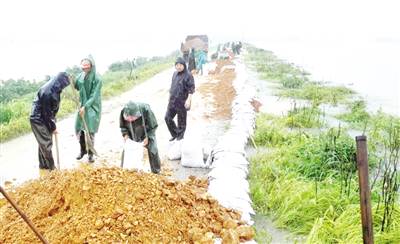 7月6日,怀宁县洪铺镇东,西圩堤河水位持续上涨,十分危急,该镇组织