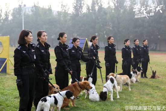 警花与警犬倪娜带的狗品种是什么 狗狗品种习