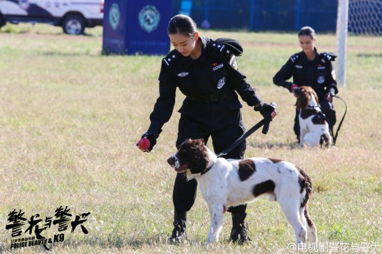 《警花与警犬》倪娜带的狗品种是什么?狗狗品