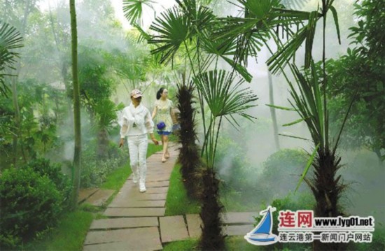 连云港海州开发热带雨林 市民享清凉