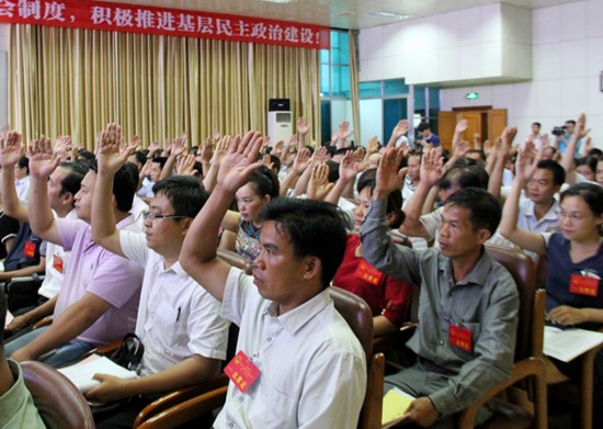 大新县第十七届人民代表大会第一次会议开幕