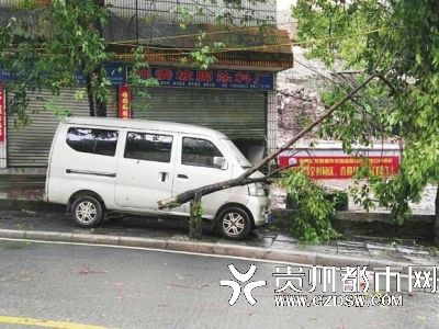 都匀市区遭遇强对流天气 极大风速达20.1米\/秒