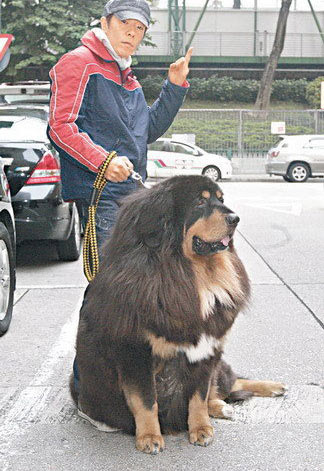 毛阿敏牛莉陈好张庭嫁入豪门 揭时尚圈低调阔