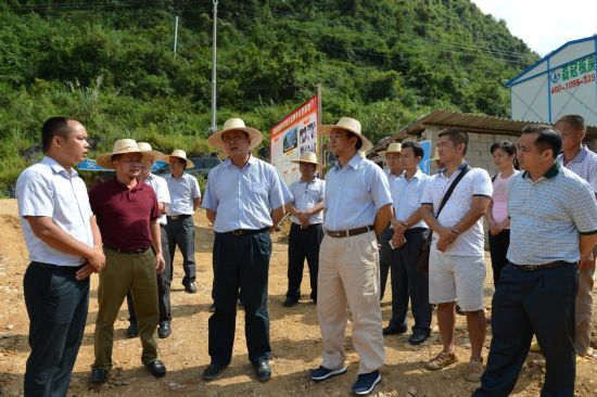 人民网广西频道 书记去哪儿主页面 百色 田阳    在定夜村肉猪集中