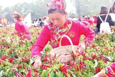 國(guó)慶期間 河南空氣質(zhì)量同比改善不少禁燒給力