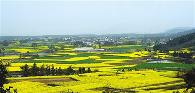 人民日报海外版:南京高淳慢城青山绿水景如画