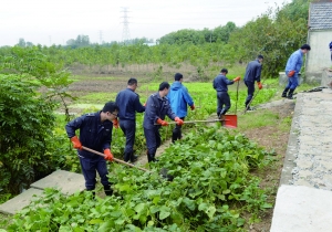 南京六合50余条眼镜蛇逃逸 当地紧急调运血清