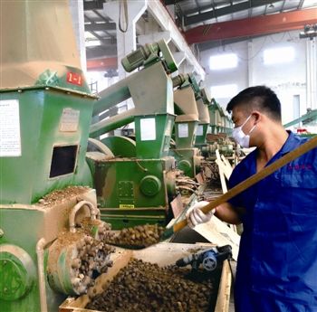 泰州洋洲打造省内最大生物质燃料基地--人民