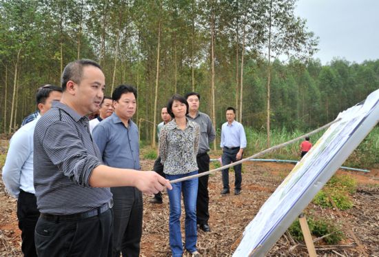 东门镇调研甘蔗 "双高"基地建设     11月7日下午,县委书记黄云革深入