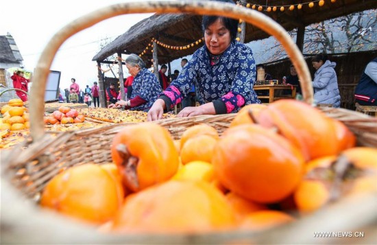 CHINA-SHANDONG-YIMENG MOUNTAINS-PERSIMMON CULTURAL FESTIVAL (CN) 