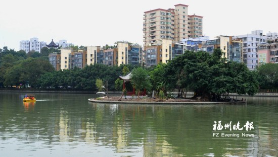 西湖“湖心春雨”元旦重现　湖心岛成白鹭栖息地