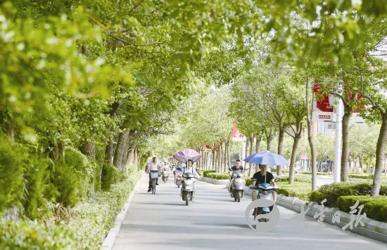 盐城大丰绿色发展守住生态红线 呵护碧水蓝天