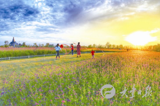 盐城大丰绿色发展守住生态红线 呵护碧水蓝天