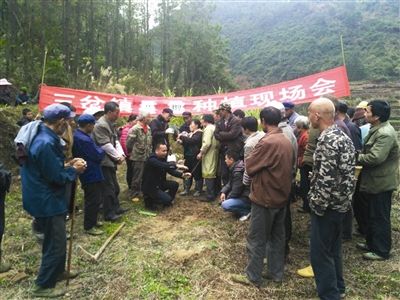 宜州三岔镇举办花椒种植技术现场培训会