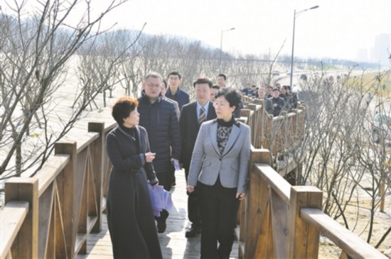 眉山樱花节将于今年3月在我市举行,昨(12)日,市委书记李静率队实地