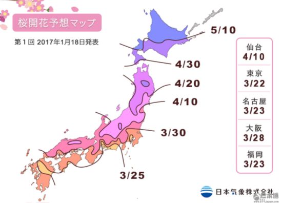 櫻前線 賞櫻 日本