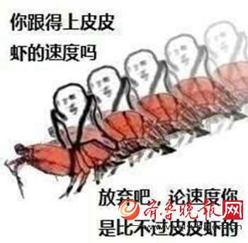 皮皮虾我们走什么意思有什么特殊的含义? 一大