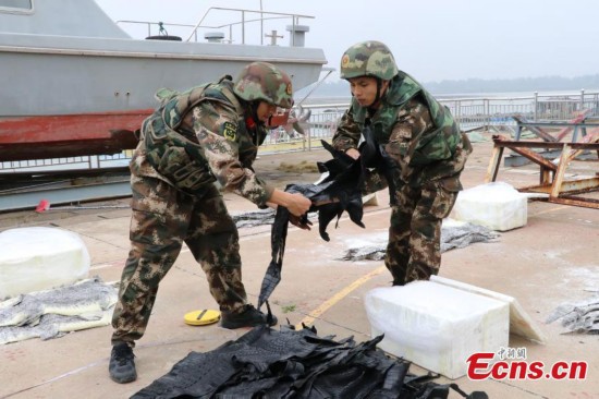 Over 1,600 crocodile skins seized in S. China