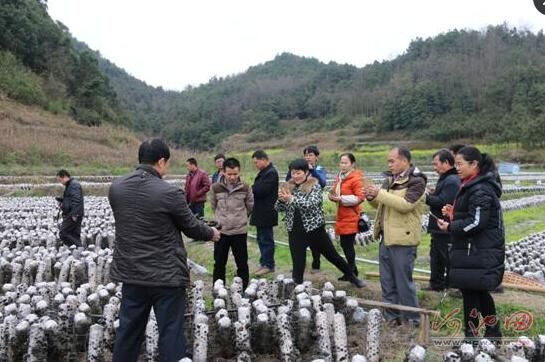 宜州市人口_宜州市刘三姐乡中枧村火烧山,打电话消防队不来 宜州网警已回复(2)