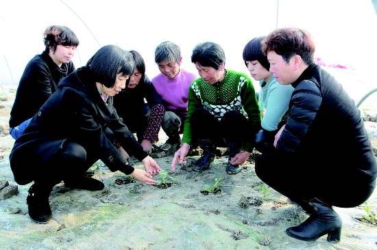 盐城盐都大纵湖镇组织农村妇女学习种植技术