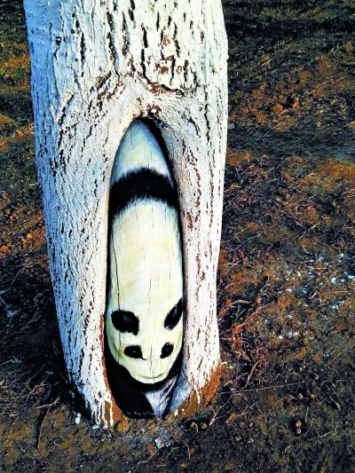通州树洞里隐藏 大熊猫 艺术工作者带女儿树林