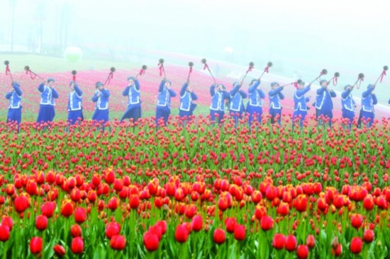 乌当花画小镇盛装迎接百花生日