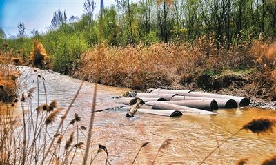 浐河左岸东月路至绕城高速污水直排 垃圾成堆