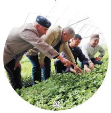 乌鲁木齐人均月收入_乌鲁木齐保障房家庭人均月收入细化为6档