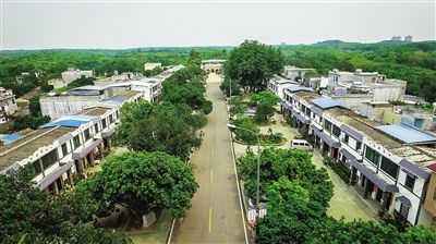 儋州发展高效农业打造特色旅游--人民网海南频