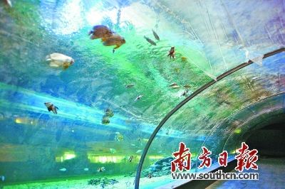 粤北首家海洋生物科普中心落户清远